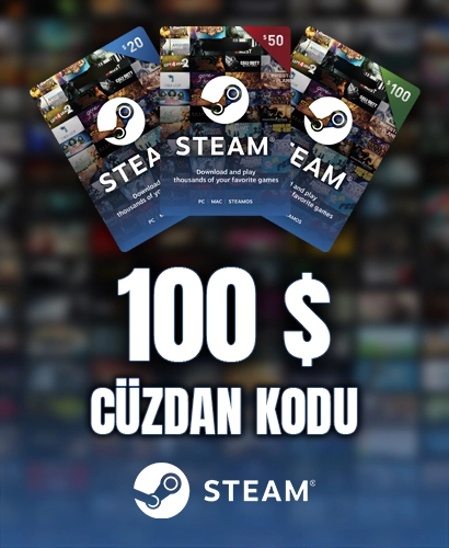 Steam 100 USD Cüzdan Kodu